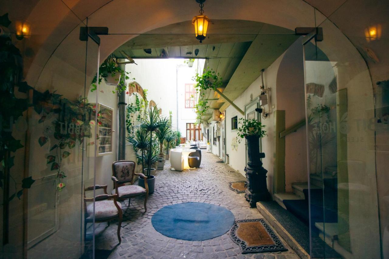 Rabbit Hole B&B